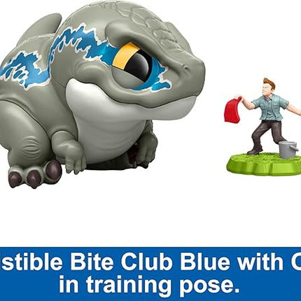 Mattel Jurassic World Bite Club Dinosaur Action Figure & Accessory, Velociraptor 'Blue' Chubby-Stylized Toy Dino Collectible