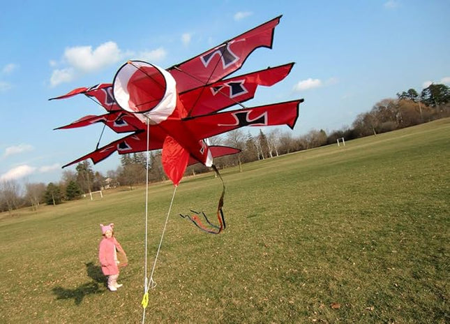 WindNSun Supersize 3D Nylon Kites