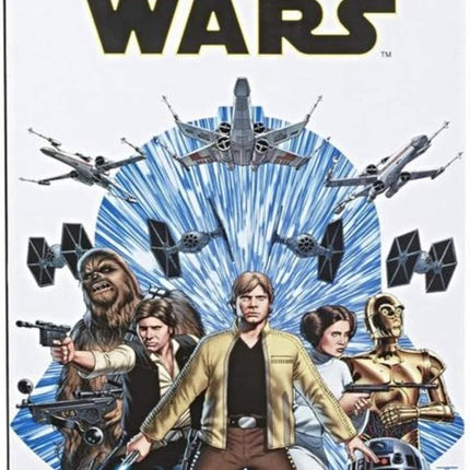 Hasbro Star Wars Black Series Luke Skywalker Strikes Action Figure