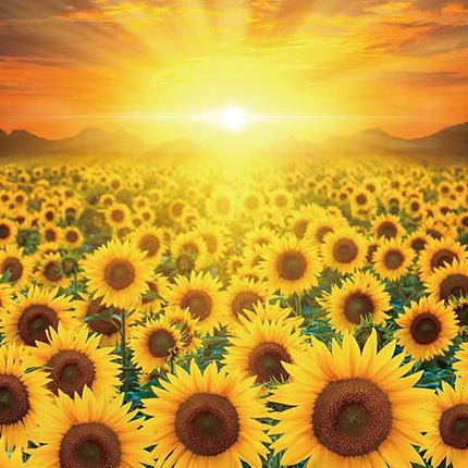 CHAMBERART 1000 Piece Premium Jigsaw Puzzle Golden Sunflower A-1158