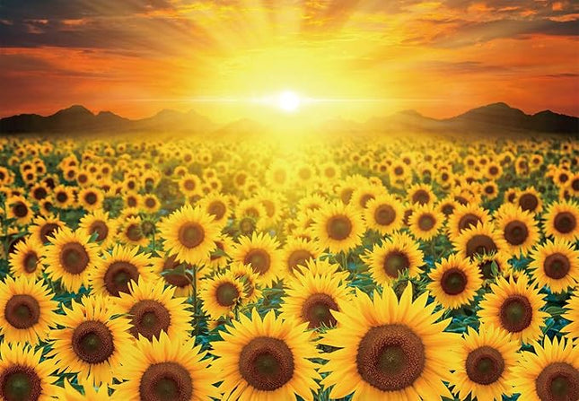 CHAMBERART 1000 Piece Premium Jigsaw Puzzle Golden Sunflower A-1158