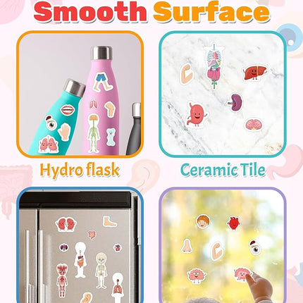 Benresive Reusable Sticker Book for Toddlers 2-4 Years, Fun Travel Stickers for Kids, Waterproof Sticker Books for Toddlers 1-3, Crafts Activities for Todddlers 1-3 2-4 3-5 - My Body