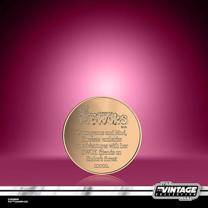 Star Wars The Vintage Collection Wicket W. Warrick & Kneesaa, Star Wars: Ewoks Collectible 3.75” Action Figures 2-Pack