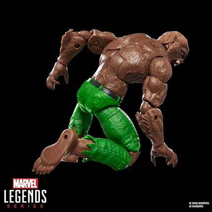 Marvel Legends Series Werewolf by Night, Marvel Comics Collectible 6-Inch Scale Action