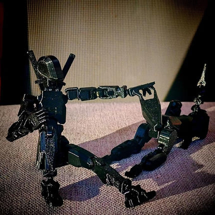 T13 Action Figures Set (Assembly Completed) Dummy 13 Titan 13 Robot Action Figure 3D Printed Robo Multi-Jointed Movable Action Figure Toy with Full Articulation (Pure Black Figure + Dog)