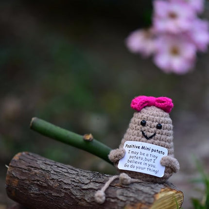 1 Pcs Positive Mini Potato Breast Cancer Good Luck Gifts for Women Easter Birthday Christmas Mom Sister Friend Wife Colleauge Coworkes Mental Support