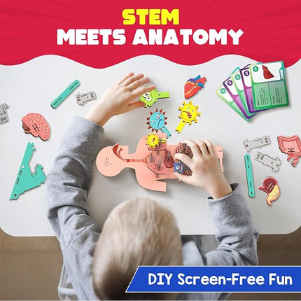 Smartivity Human Body Model for Kids 6 to 12 Years | Learn Body Organs, Functions with Fun Card Games | Christmas, Birthday Gift for Boys & Girls | DIY STEM Science Toys for Kids 6, 8, 10, 12 Years