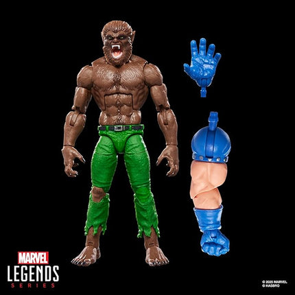Marvel Legends Series Werewolf by Night, Marvel Comics Collectible 6-Inch Scale Action