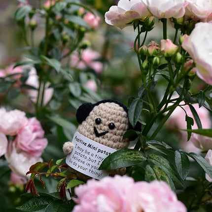 1 Pcs Positive Mini Funny Potato Holding Card Crochet Easter Birthday Christmas Mom Dad Sister Friend Wife Husband Colleauge College Students Coworkes Cheer Up Gift Decor