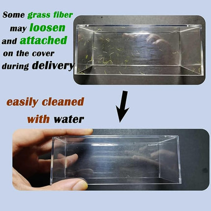 1/64 Scale Street Diorama Display Case- Clear Storage Case with Realistic Urban Road Scene for Hot Wheels, Matchbox & 1:64 Model Cars- Diecast Toy Garage-Fall