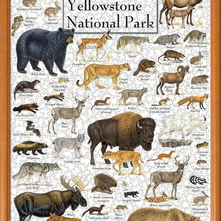 MasterPieces 1000 Piece Jigsaw Puzzle for Adults, Family, Or Youth - Mammals of Yellowstone National Park - 19.25" x26.75