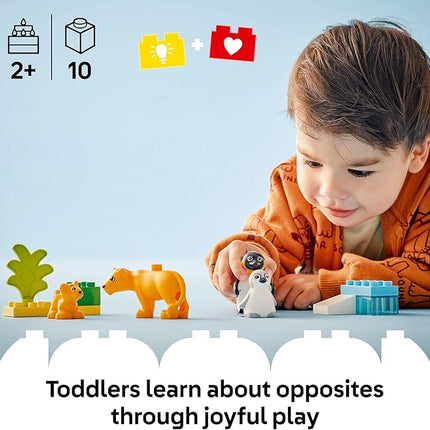 LEGO DUPLO Town Wild Animal Families Penguins & Lions Building Toy Playset - Preschool Learning & Educational Animal Toy for Toddlers, Boys and Girls, Ages 2+ - Baby Gift Ideas - 10442