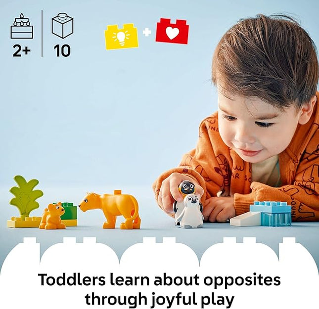 LEGO DUPLO Town Wild Animal Families Penguins & Lions Building Toy Playset - Preschool Learning & Educational Animal Toy for Toddlers, Boys and Girls, Ages 2+ - Baby Gift Ideas - 10442
