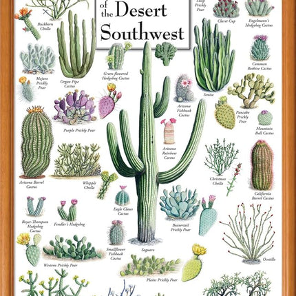 MasterPieces 1000 Piece Jigsaw Puzzle for Adults, Family, Or Youth - Cacti of The Desert Southwest - 19.25"x26.75"