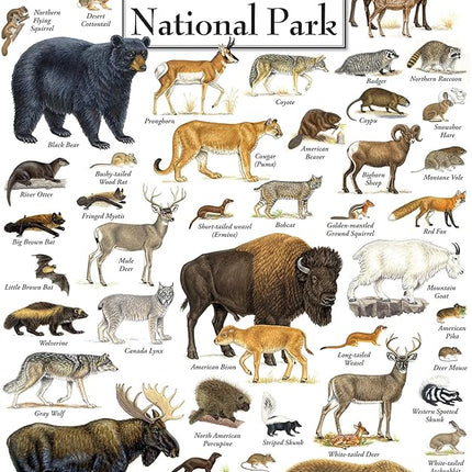 MasterPieces 1000 Piece Jigsaw Puzzle for Adults, Family, Or Youth - Mammals of Yellowstone National Park - 19.25" x26.75