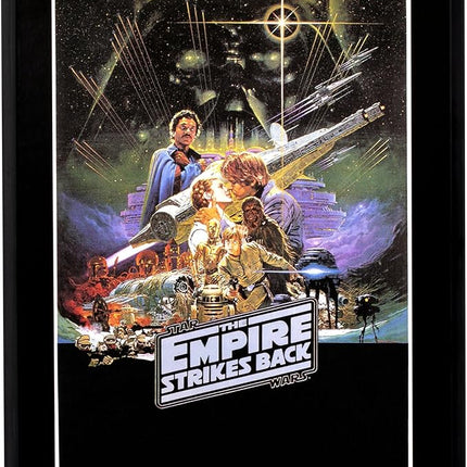 Fandrop SW04-Star Wars: The Empire Strikes Backâ - Luke Skywalker VS. Darth Vader, Combines an Epic Diorama, Artifacts & Scene Marker Creating A Display to Enhance Any Star Wars Collection