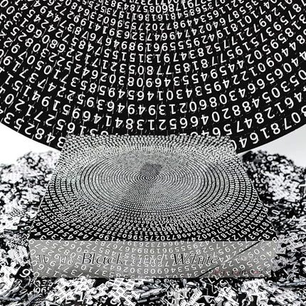 Bgraamiens Puzzle -π Day Puzzle The Mystical π Puzzle Hard Unique Round Numbers Puzzle for Adults (π in Black and White)