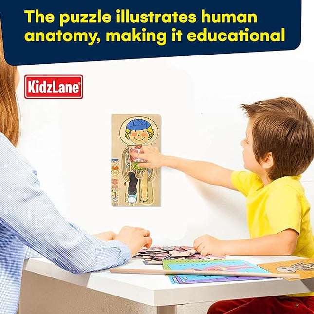 Kidzlane Boy Wooden My Body Puzzle for Toddlers & Kids - 29 Piece Boys Anatomy Puzzle Kid Play Set - Anatomy for Kids, Skeleton Toys for Children Ages 3 Plus