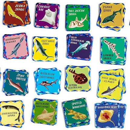 eeBoo: Memory & Matching Game- Shiny Sharks & Friends - 24 Matching Pairs, Educational Preschool Game, Kids Ages 3+, 1-4 Players
