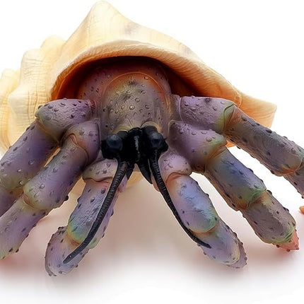 Gemini&Genius Sea Animal Hermit Crab Action Figure Toy for Kids, Soft Rubber Realistic Ocean Crab Educational and Role Play Toys for Kids and Collectors, Great Swimming and Bath Toys (Hermit Crab)