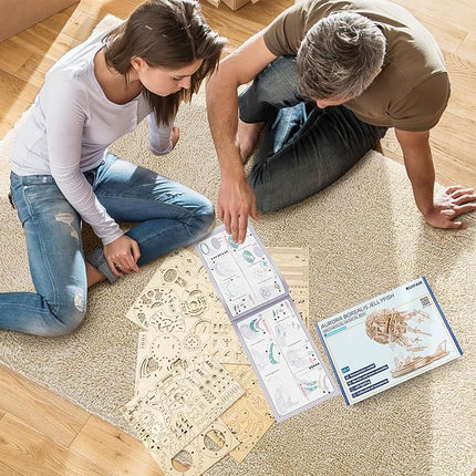 3D Wooden Puzzles for Adults, 3D Puzzle Model Aurora Jellyfish Toys Building Kits, DIY Wood Crafts Cool Toy Hobbies for Men Women, Creative Assembly Gifts