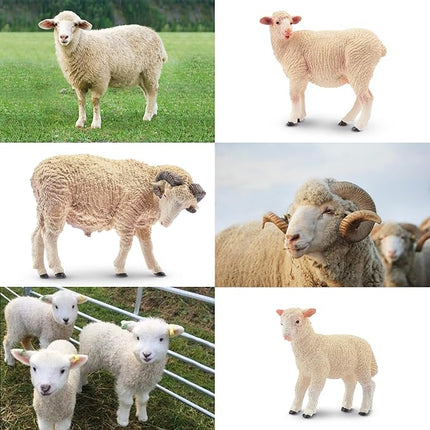 Toymany 8PCS Merino Sheep Figurines Realistic Farm Animal Sheep Toys- Plastic Sheep Figures Birthday Christmas Toy Gift for Kids Toddlers