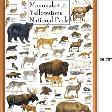 MasterPieces 1000 Piece Jigsaw Puzzle for Adults, Family, Or Youth - Mammals of Yellowstone National Park - 19.25" x26.75