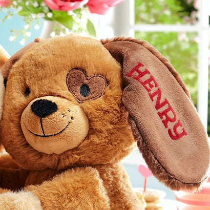 Let's Make Memories Personalized Hugging Plush Puppies - for Birthday - Puppy Love - Dog Stuffed Animal for Kids - for Boy - for Girl