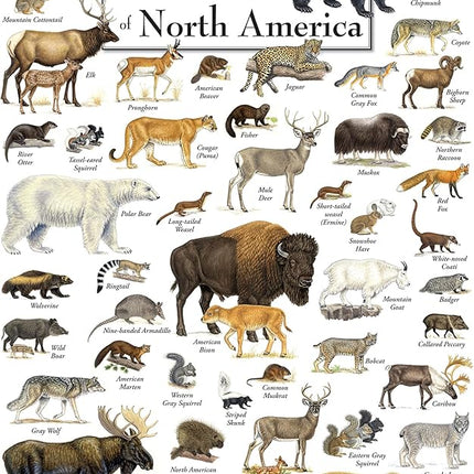 MasterPieces 1000 Piece Jigsaw Puzzle for Adults, Family, Or Youth - Land Mammals of North America - 19.25"x26.75"