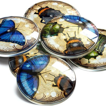 Pollen Board Game Upgrade