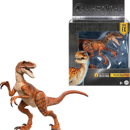 Mattel Jurassic World Hammond Collection Dinosaur Action Figure Toy, Atrociraptor Tiger, Premium Movie Design Glass Eyes & 13 Points Articulation