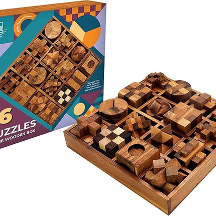 BSIRI 16 in 1 Wooden Brain Teaser Puzzles for Adults and Teens or Kids Interlocking 3D Mini Wood Mind Games Hand Puzzle Teasers Set Toys Coffee Table Games Gift
