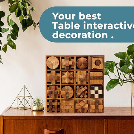 BSIRI 16 in 1 Wooden Brain Teaser Puzzles for Adults and Teens or Kids Interlocking 3D Mini Wood Mind Games Hand Puzzle Teasers Set Toys Coffee Table Games Gift