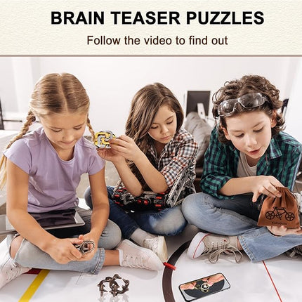 9pcs Metal Puzzle for Adult Disentanglement Puzzles Lock Puzzle Games Set Gift for Adults Teenagers