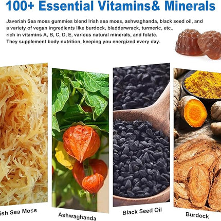 Vegan Ashwagandha Sea Moss Gummies - Black Seed Oil, Vitamin C&D for Immune Support, Digestive, Antioxidant 13 in 1 Bundle, Sea Moss Chlorophyll Advanced Strength Formula 60 Gummies