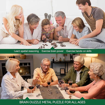 13 Pcs Brain Teaser Puzzles for Adults - Metal Puzzles 3D Puzzle Game Toys for Adults Teens - Wooden Unlock Interlocking Puzzle Adult IQ Education Smart Toys