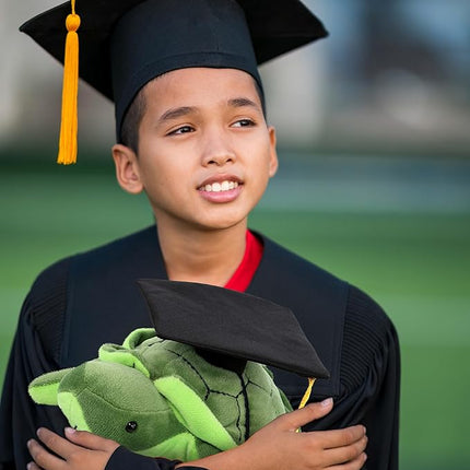 DolliBu Sea Turtle Graduation Plush Toy - Soft Huggable Graduation Stuffed Animal Dress Up with Gown and Cap with Tassel Outfit - Graduation Gift with Personalization - 7.5 Inches