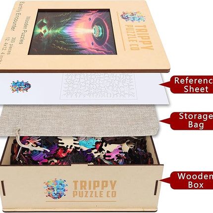 Wooden Jigsaw Puzzle for Adults - Challenging 300 Piece Puzzle with Cool Shapes - UFO Alien Landscape Puzzle Art - Paranormal Collection (Earthly Encounter)