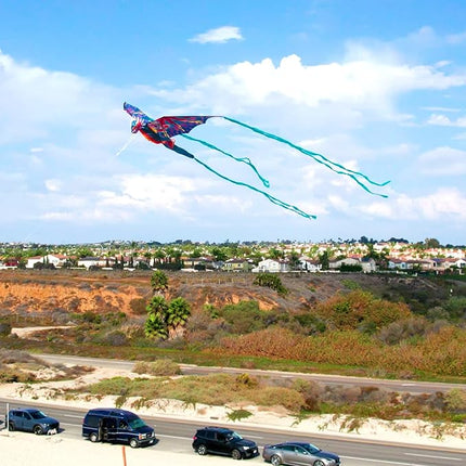 WindNSun Supersize 3D Nylon Kites