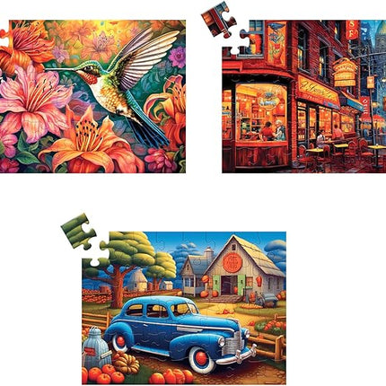 3 Pack 48 Large Piece Puzzle for Seniors Puzzles Dementia Alzheimer's Products and Activities for Elderly Large Piece Puzzles Alzheimer's Easy Puzzles Gift Memory Games for Patients, 3 Storage Bag