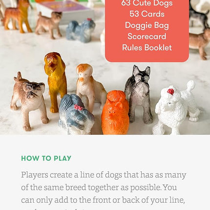 SimplyFun Walk The Dogs Math Game - One of The Most Fun Games for Kids Ages 8 and Up - Play to Practice Counting & Sorting- 2 to 5 Players