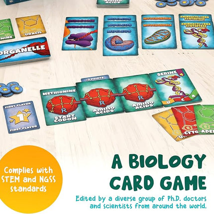 Genius Games Peptide: A Protein Building Game | A Strategy Card Game with Accurate Science for Gamers and Teachers | Teaches Amino Acids, mRNA, Organelles