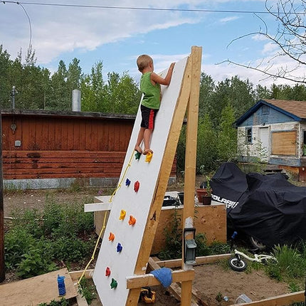 KINSPORY 10Pc Colourful Pig Nose Shape Children Rock Climbing Holds Indoor Outdoor Kids Playground Build with Two Blue Handles - Mounting Hardware Kit Included