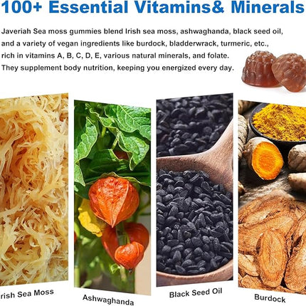 Vegan Ashwagandha Sea Moss Gummies - Black Seed Oil, Vitamin C&D for Immune Support, Digestive, Antioxidant 13 in 1 Bundle, Sea Moss Chlorophyll Advanced Strength Formula 2Pack 120 Gummies