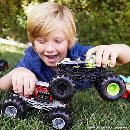 Hot Wheels Monster Trucks Toy Truck, Oversized 1:24 Scale Die-Cast Race Ace for Kids & Collectors