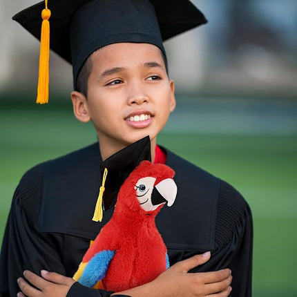 DolliBu Red Parrot Graduation Plush Toy - Super Soft Plush Graduation Stuffed Animal Dress Up with Graduation Cap with Tassel Outfit - Congratulatory Graduation Gift with Personalization - 15 inch