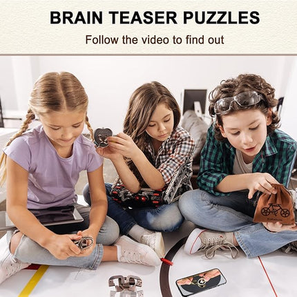 9pcs Metal Puzzle for Adult Disentanglement Puzzles Lock Puzzle Games Set Gift for Adults Teenagers