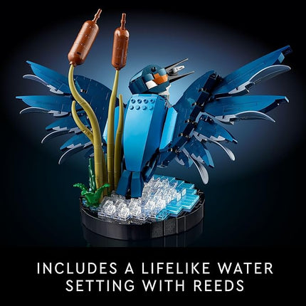 LEGO Icons Kingfisher Building Set - Detailed Model Set for Adults, 18+ - Collectible, Relaxing Activity for Bird Lovers - Gift for Men & Women - 10331