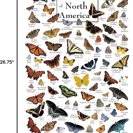 MasterPieces 1000 Piece Jigsaw Puzzle for Adults, Family, Or Youth - Butterflies of North America - 19.25"x26.75"