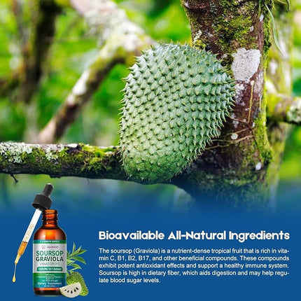 2 Pack Soursop Graviola Leaf Extract Liquid Drops Supplement with Irish Sea Moss & Turmeric for Cellular Support, Immune System Boost, Liver Health, Soursop Bitters Liquid 60-Day Supply 4 FL OZ